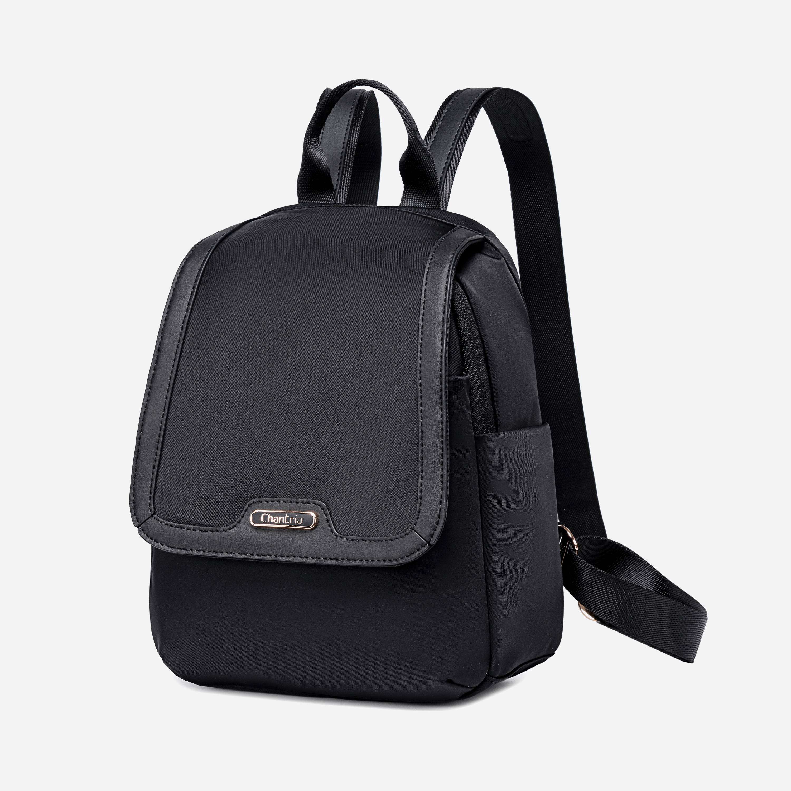 CB00621 Black Chantria