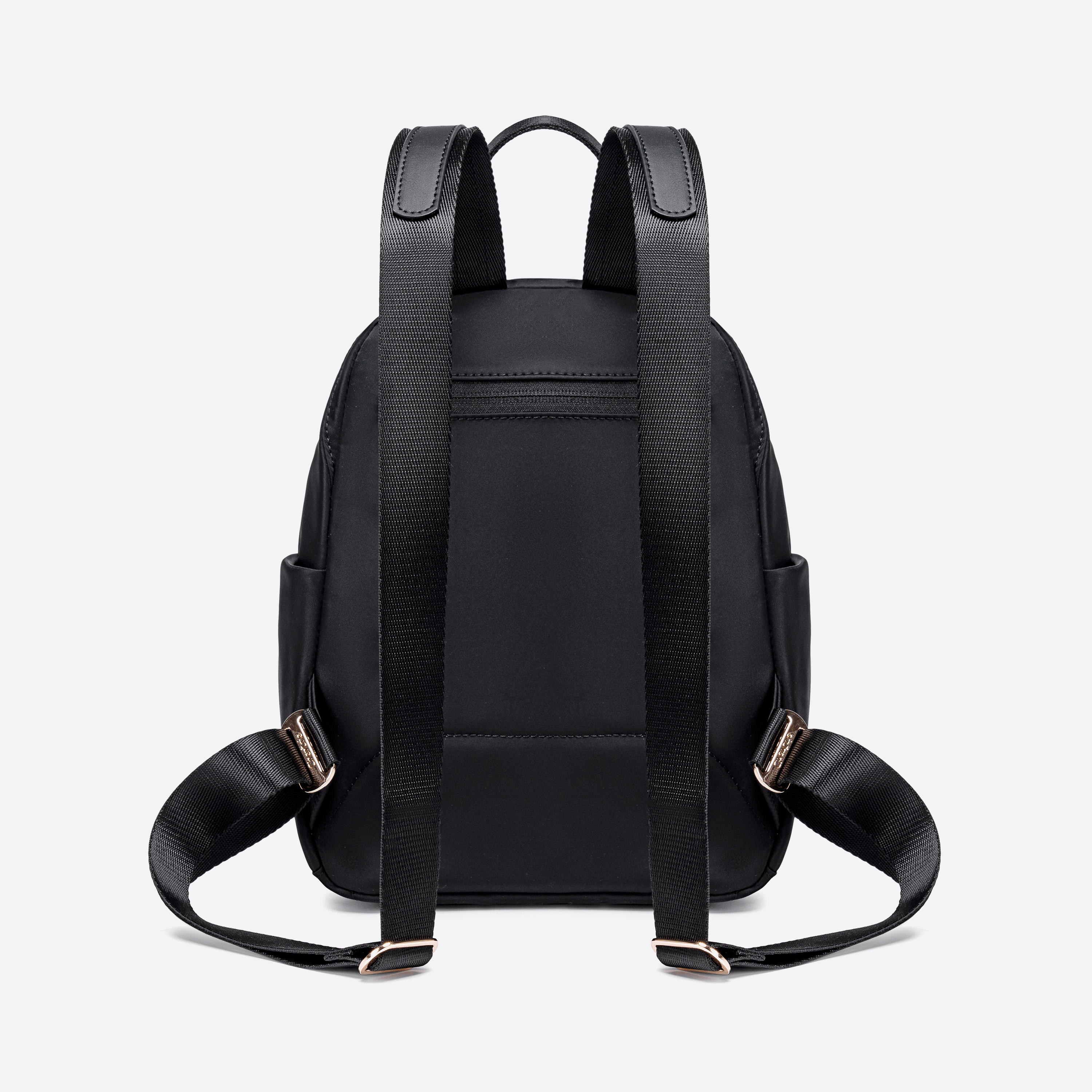 CB00621 Black Chantria