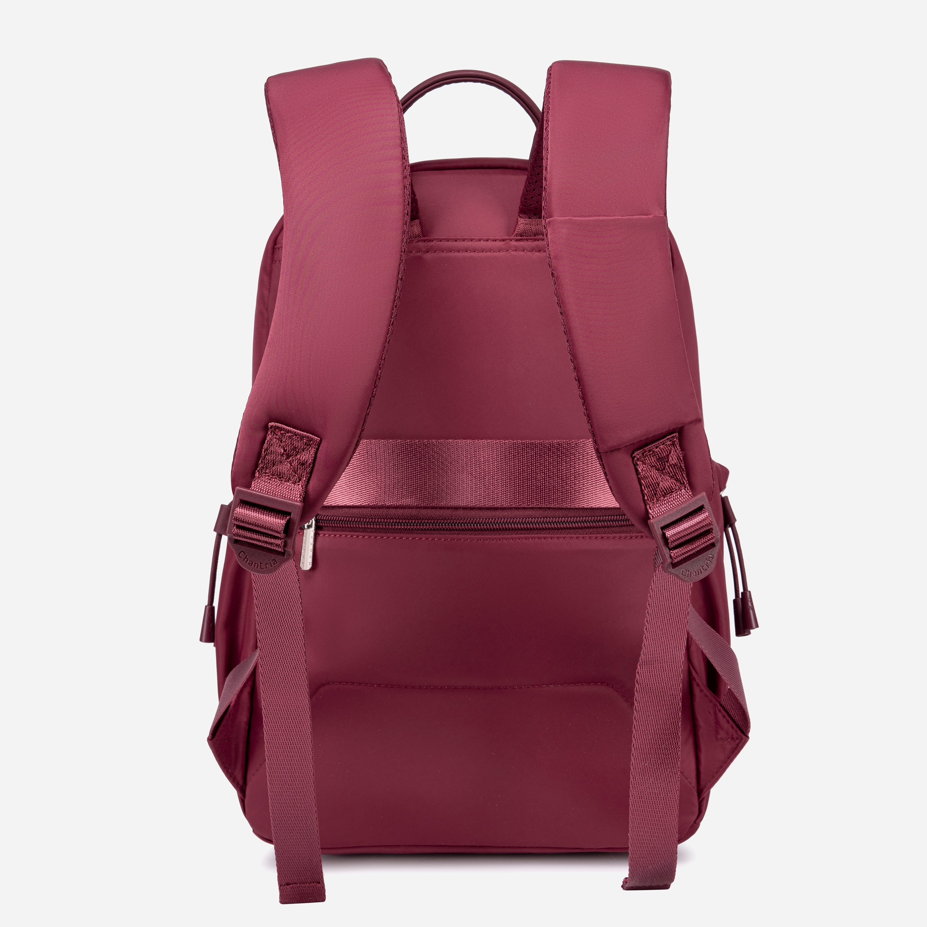 CB00956 Burgandy Chantria