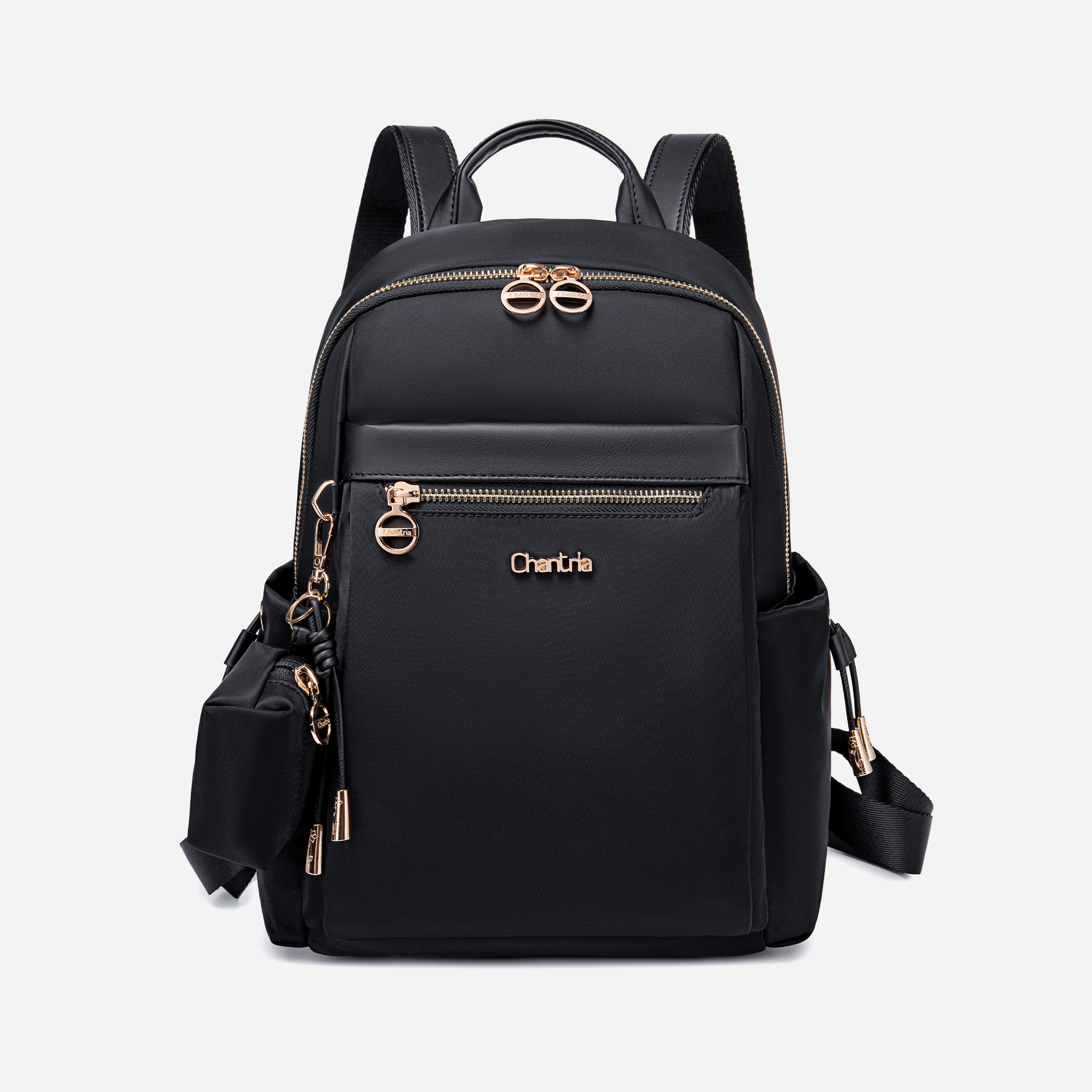 CB00959 Black Chantria