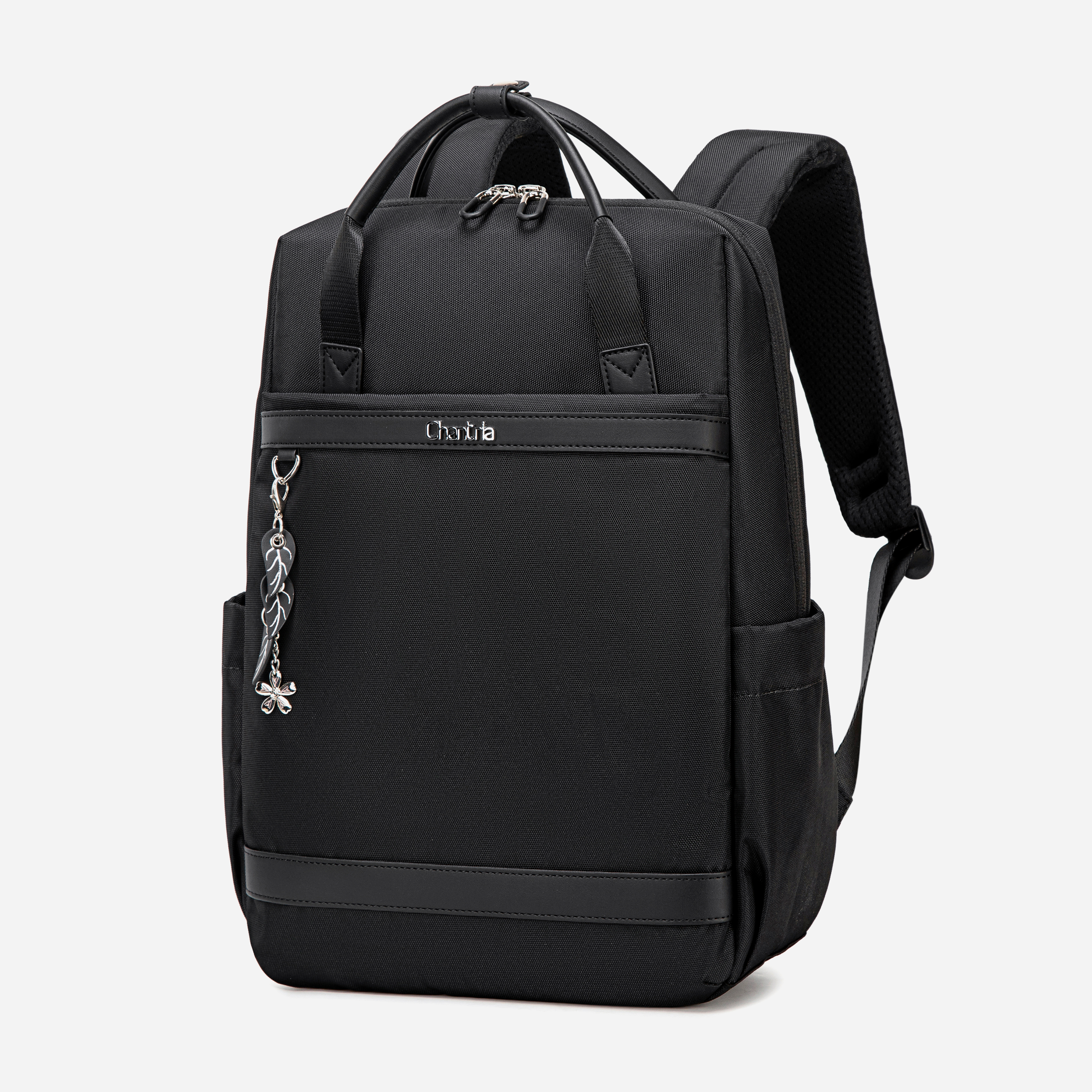 CB00639 Black Chantria
