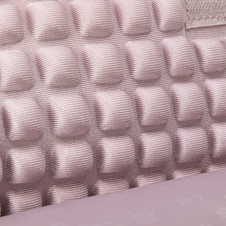 CB00638 Pink Chantria