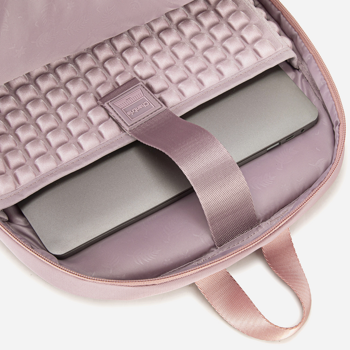 CB00638 Pink Chantria