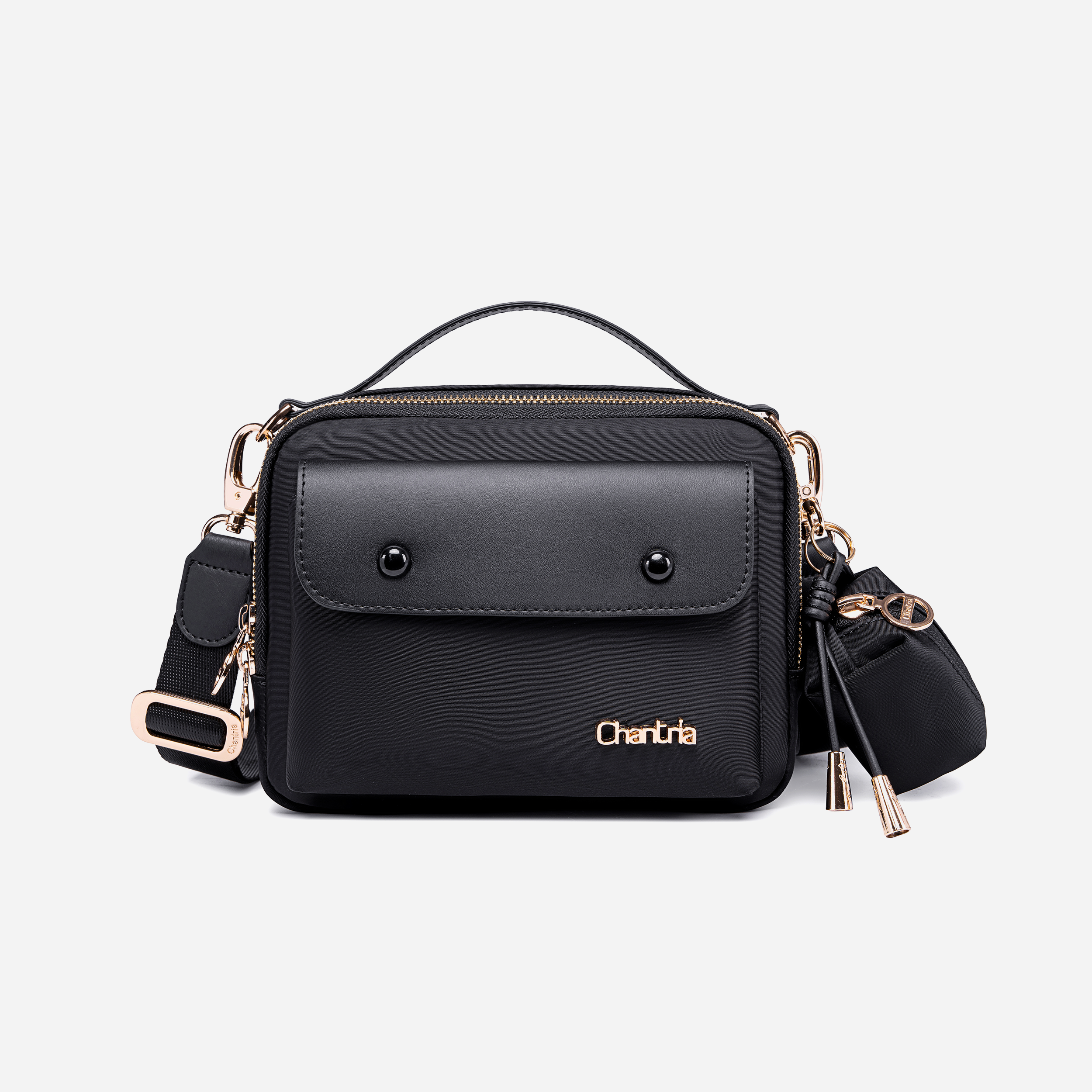 CKB00965 Black Chantria