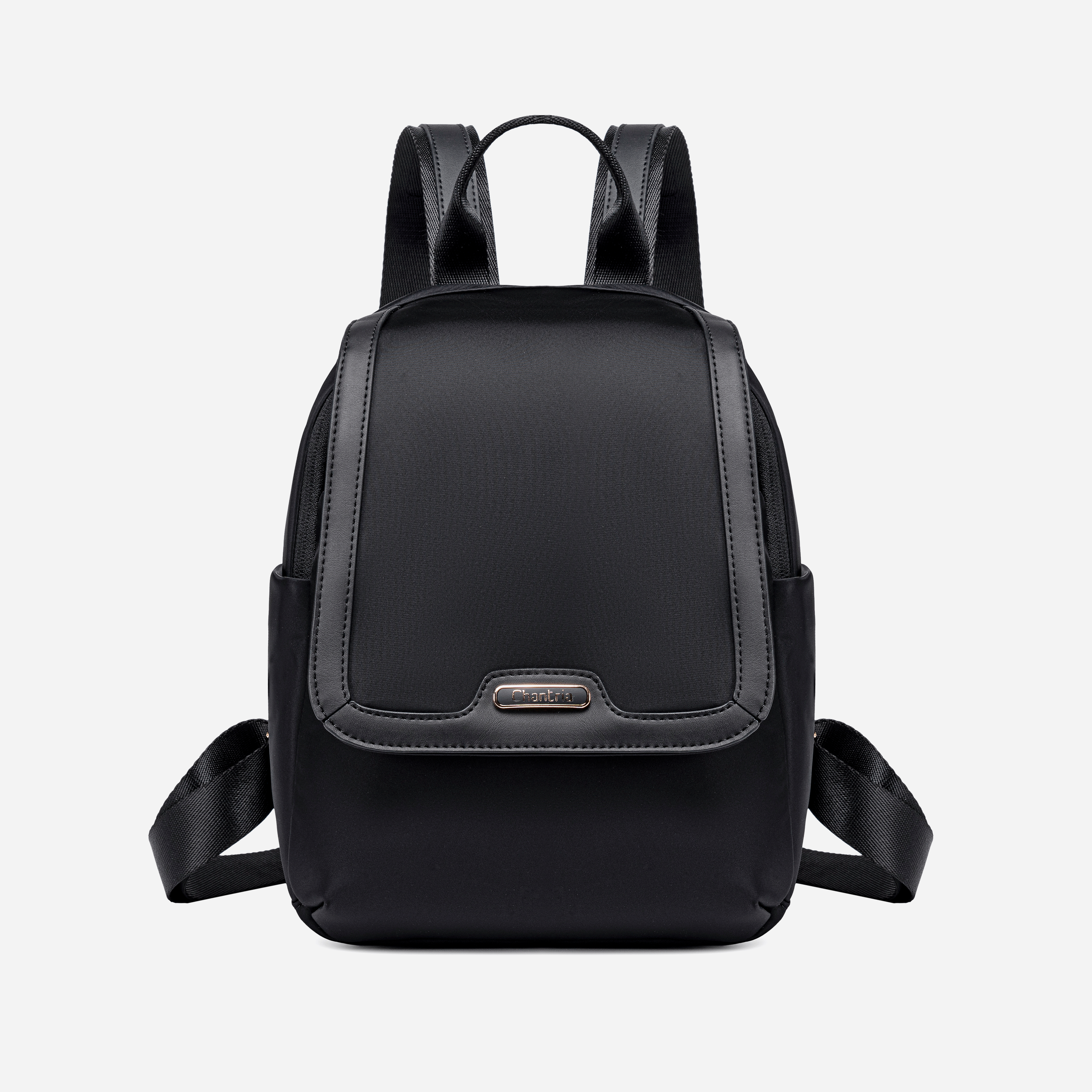 CB00621 Black Chantria